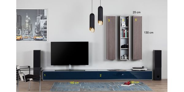 Combinaison Meuble TV Paroi Sonorous Elements Lowboard LC16